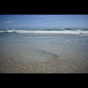 Meet your Posher, Elly